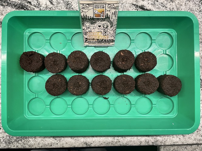 20211226_085952647_iOS