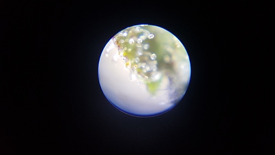 Growreport Bild 5