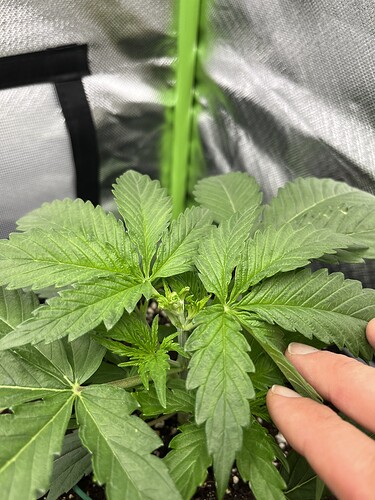 Growreport Bild 16