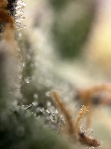 Growreport Bild 14