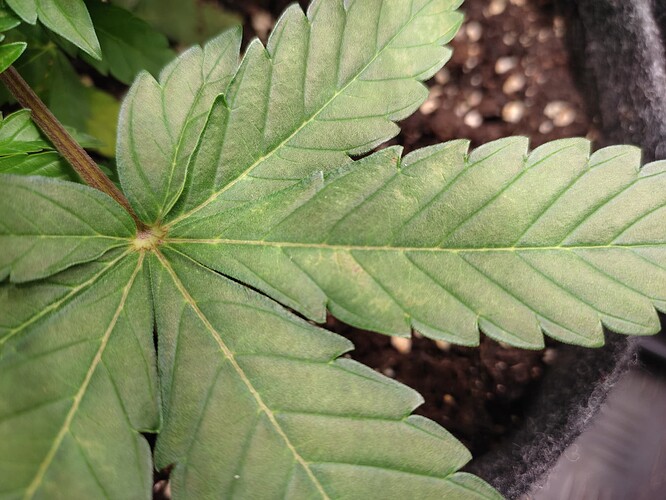 Growreport Bild 21