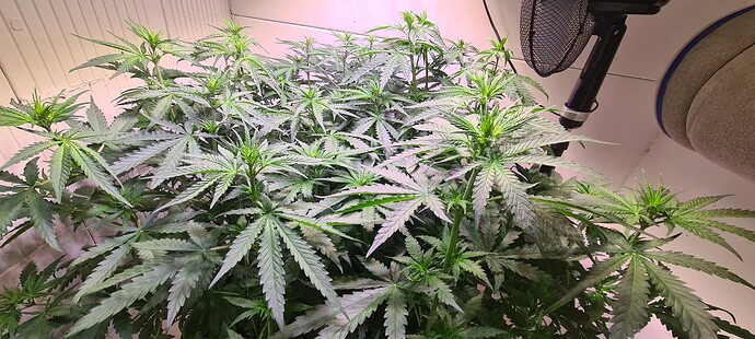 Growreport Bild 12