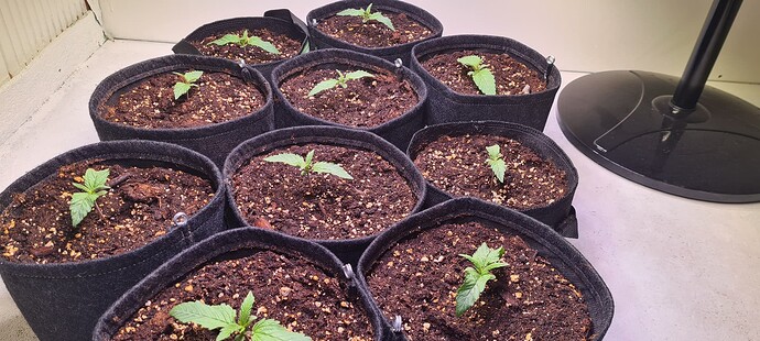 Growreport Bild 15