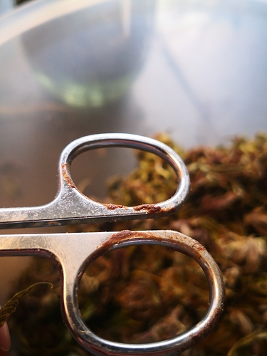 Growreport Bild 15