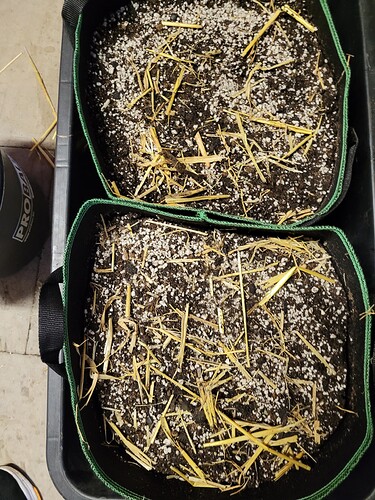 Growreport Bild 1