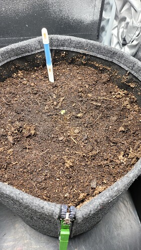 Growreport Bild 4