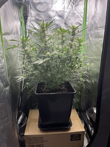 Growreport Bild 10