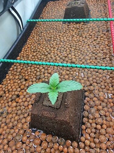 Growreport Bild 16