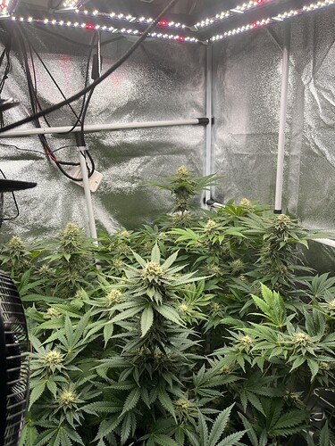Growreport Bild 15