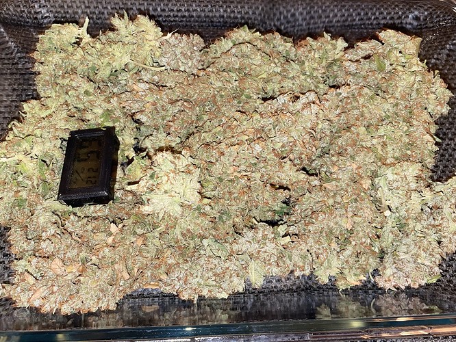 Growreport Bild 3