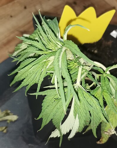 Growreport Bild 23