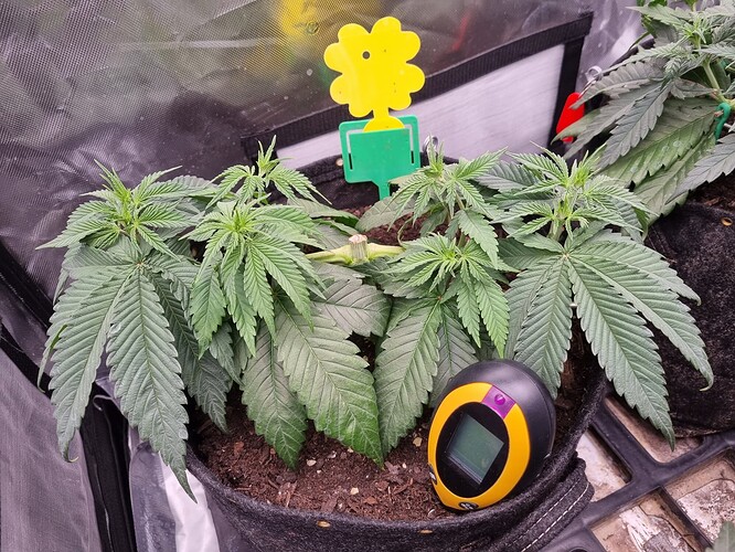 Growreport Bild 2