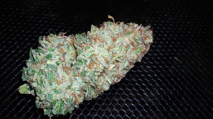 Growreport Bild 4