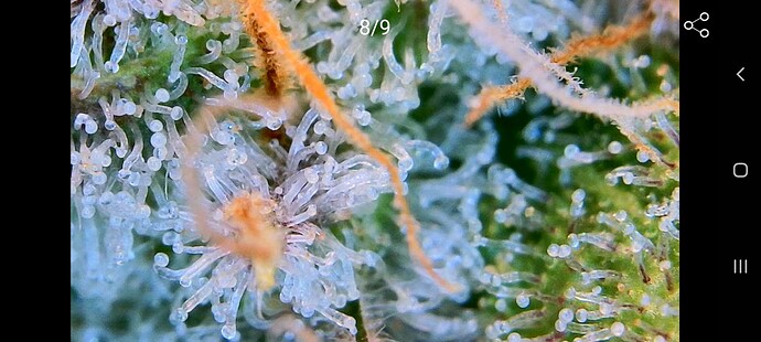 Growreport Bild 8