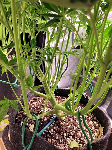 Growreport Bild 19