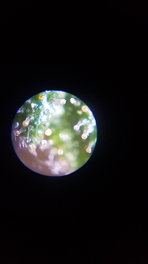 Growreport Bild 7