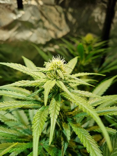 Growreport Bild 11