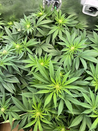 Growreport Bild 26