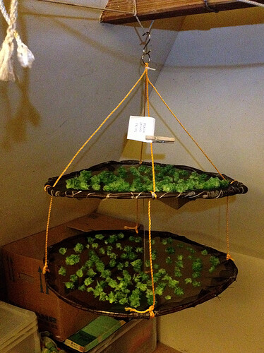 Growreport Bild 20