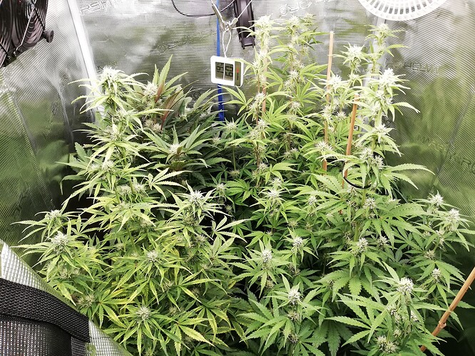 Growreport Bild 24