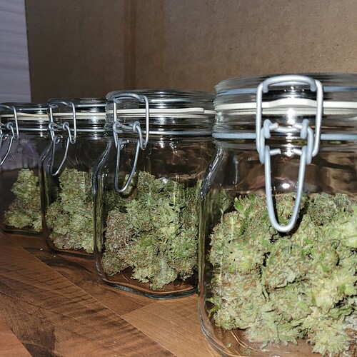 Growreport Bild 13