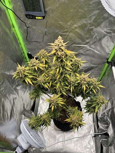 Growreport Bild 11