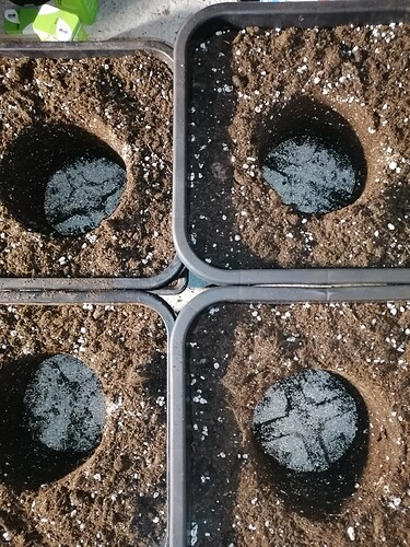 Growreport Bild 9