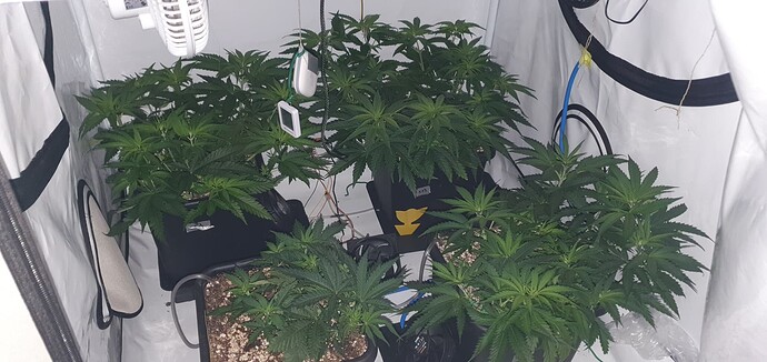Growreport Bild 15