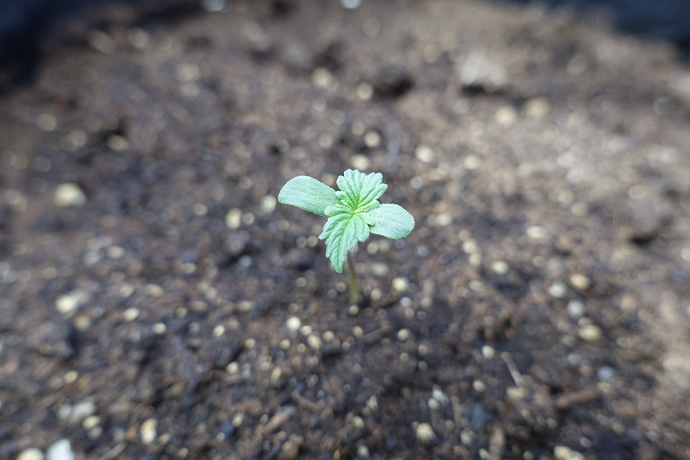 Growreport Bild 22