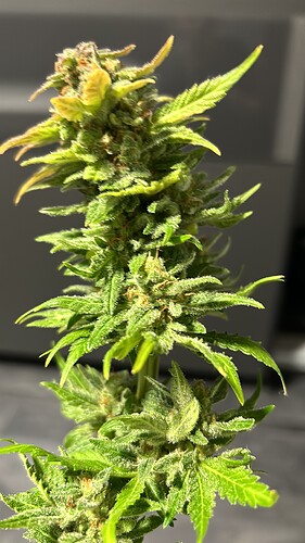 Growreport Bild 13