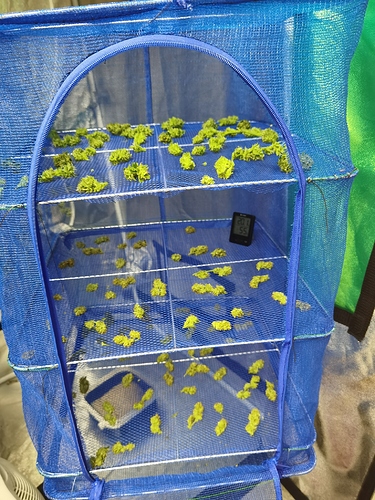 Growreport Bild 4
