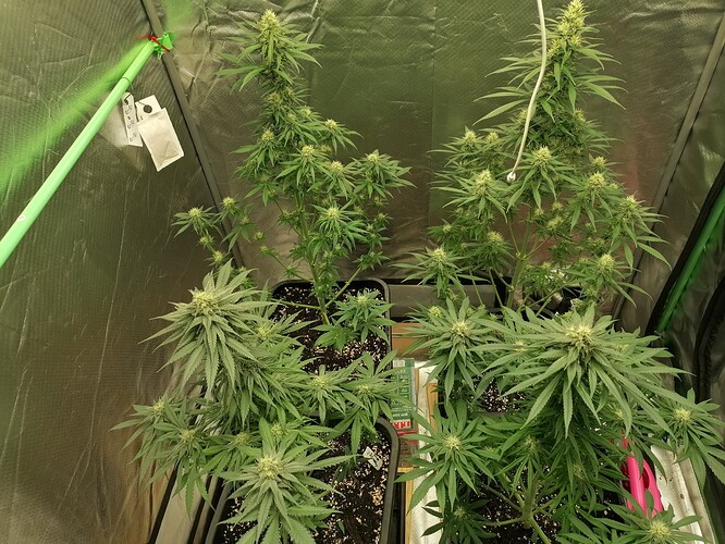 Growreport Bild 18