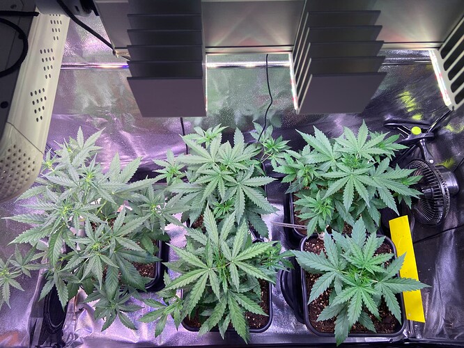 Growreport Bild 10