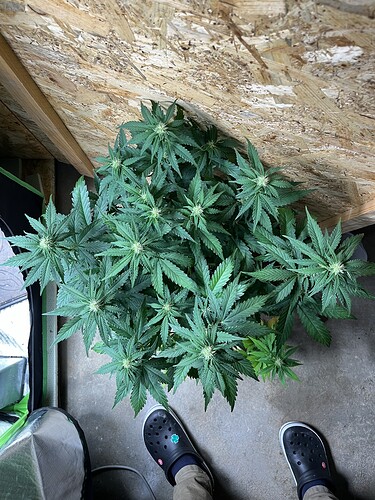 Growreport Bild 21