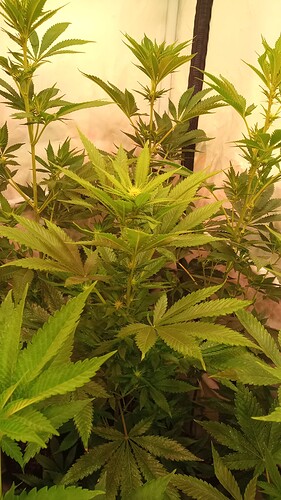 Growreport Bild 16
