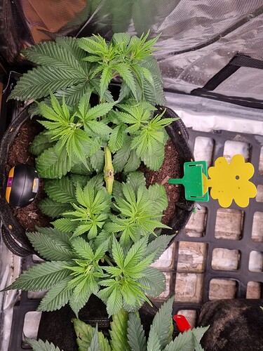 Growreport Bild 13