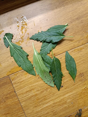 Growreport Bild 5