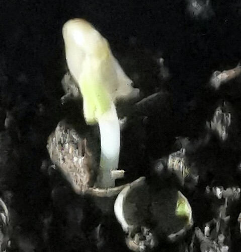 Growreport Bild 9