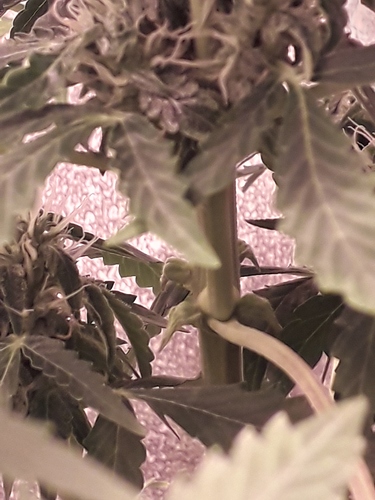 Growreport Bild 2