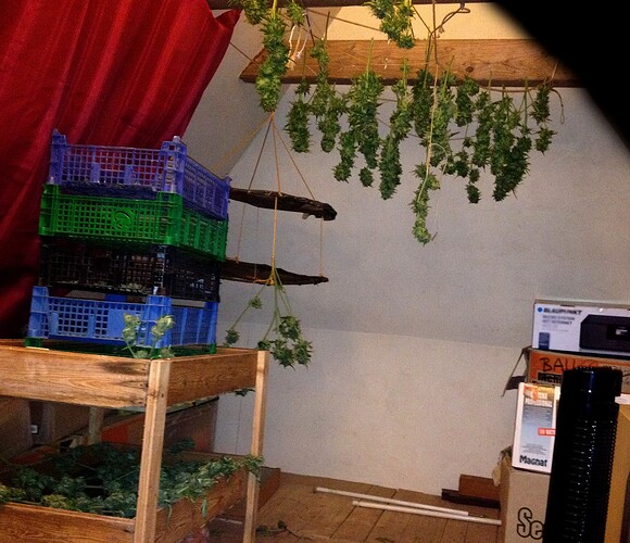 Growreport Bild 5