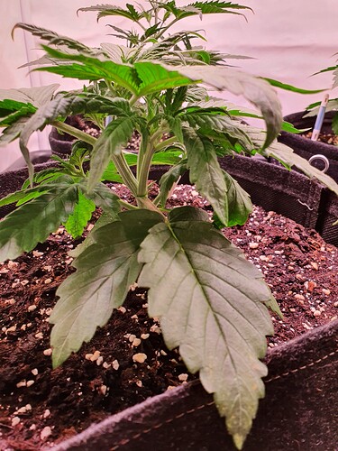 Growreport Bild 18
