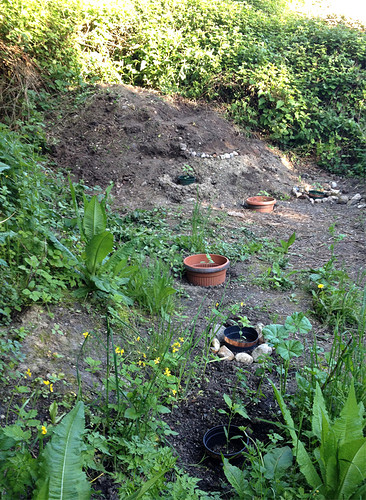 Growreport Bild 19