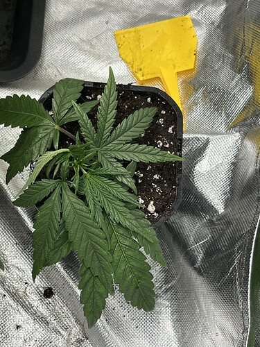 Growreport Bild 11
