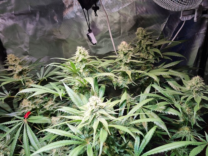 Growreport Bild 18