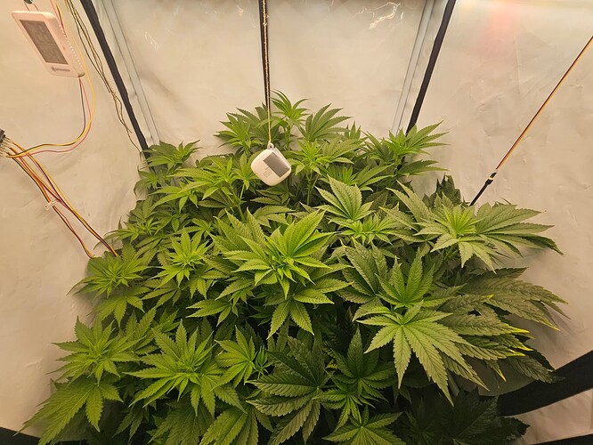Growreport Bild 18