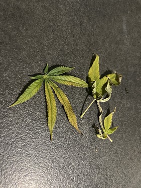 Growreport Bild 16