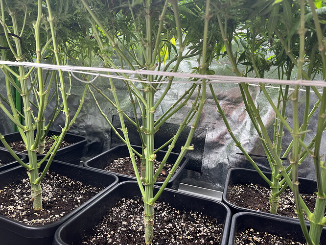 Growreport Bild 8