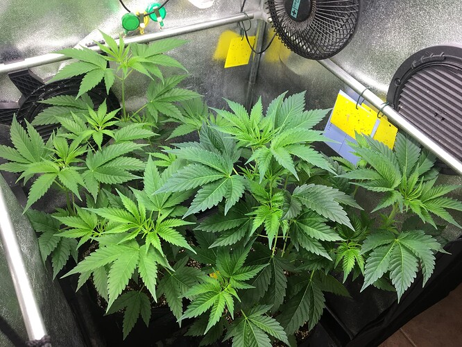 Growreport Bild 9
