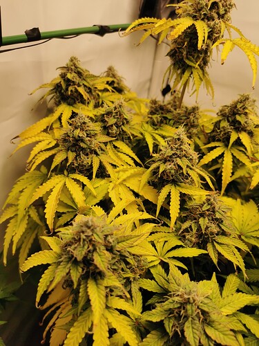 Growreport Bild 20