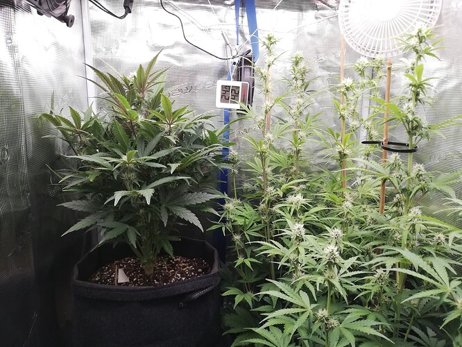 Growreport Bild 21
